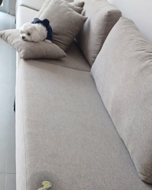 Sofá bege de casa com pet, com mancha no assento antes da limpeza de sofá